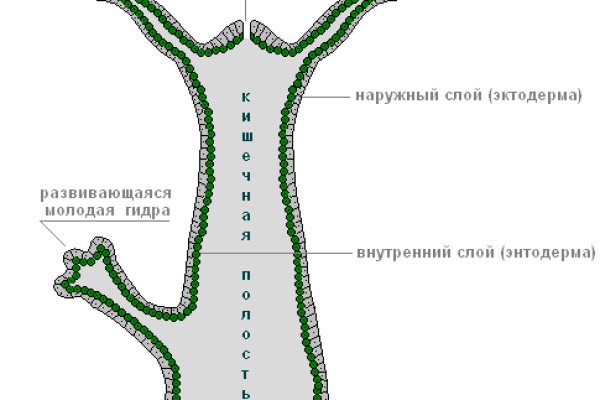 Нарко маркетплейс