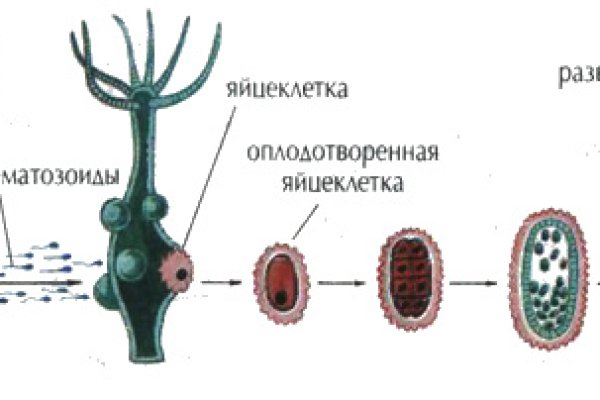 Как зарегаться на кракене