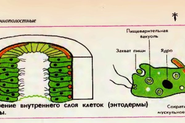 Кракен правильная