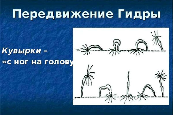 Kraken рабочий