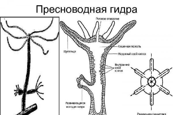 Kraken рабочая ссылка onion