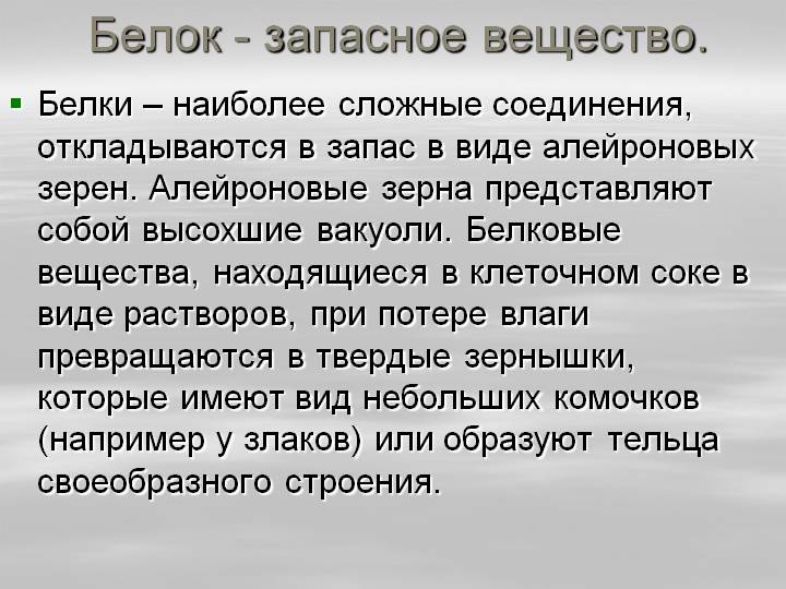 Через какой браузер можно зайти на кракен